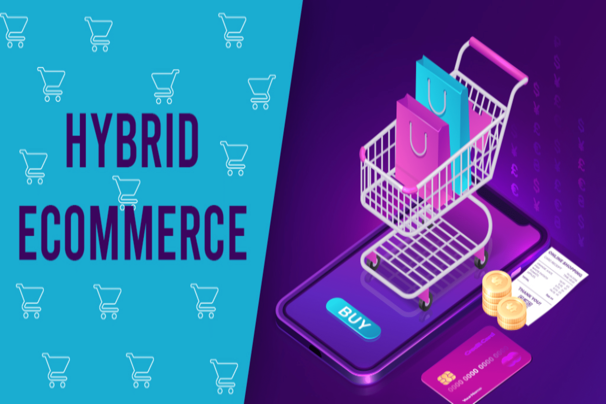 Hybrid Ecommerce